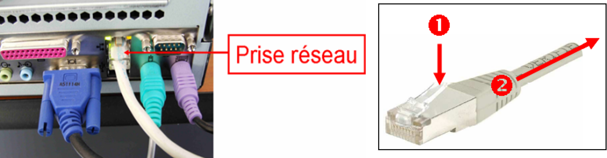Câble réseau